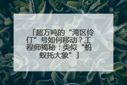 超万吨的“湾区伶仃”号如何移动？工程师揭秘：类似“蚂蚁托大象”