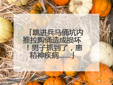 跳进兵马俑坑内推拉陶俑造成损坏！男子抓到了，患精神疾病……