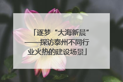 逐梦“大海新晨”——探访泰州不同行业火热的建设场景