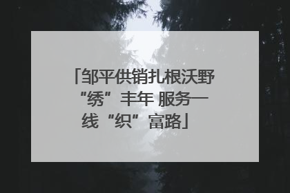 邹平供销扎根沃野“绣”丰年 服务一线“织”富路