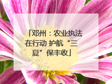 邓州：农业执法在行动 护航“三夏”保丰收