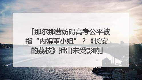 那尔那茜妨碍高考公平被指“内娱董小姐”？《长安的荔枝》播出未受影响