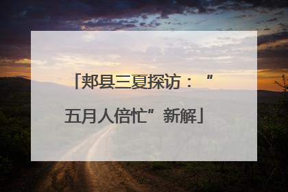 郏县三夏探访：“五月人倍忙”新解