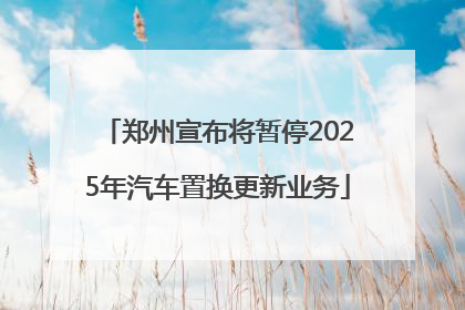 郑州宣布将暂停2025年汽车置换更新业务