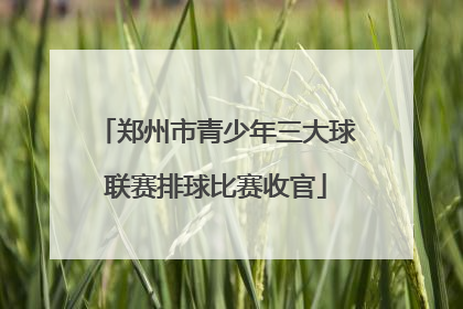郑州市青少年三大球联赛排球比赛收官