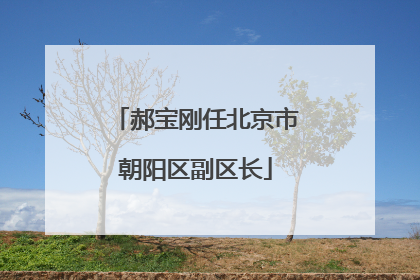 郝宝刚任北京市朝阳区副区长