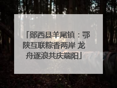 郧西县羊尾镇：鄂陕互联粽香两岸 龙舟逐浪共庆端阳