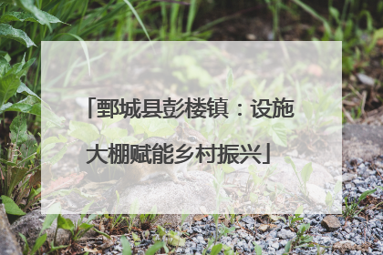 鄄城县彭楼镇：设施大棚赋能乡村振兴