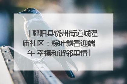 鄱阳县饶州街道城隍庙社区：粽叶飘香迎端午 幸福和谐邻里情