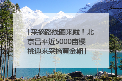 采摘路线图来啦！北京昌平近5000亩樱桃迎来采摘黄金期