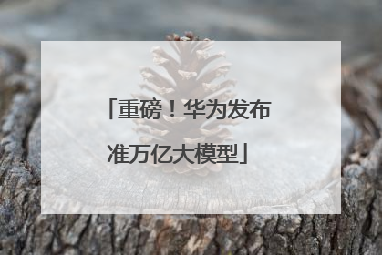重磅！华为发布准万亿大模型