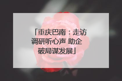 重庆巴南：走访调研听心声 助企破局谋发展