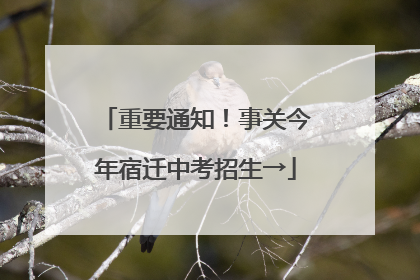 重要通知！事关今年宿迁中考招生→