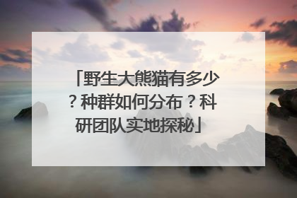野生大熊猫有多少？种群如何分布？科研团队实地探秘