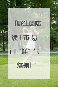 野生菌陆续上市 易门“鲜”气爆棚