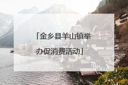 金乡县羊山镇举办促消费活动
