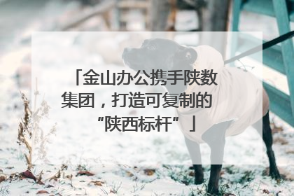 金山办公携手陕数集团，打造可复制的“陕西标杆”