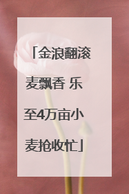 金浪翻滚麦飘香 乐至4万亩小麦抢收忙