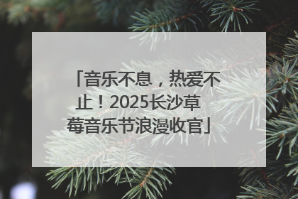音乐不息，热爱不止！2025长沙草莓音乐节浪漫收官