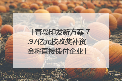 青岛印发新方案 7.97亿元技改奖补资金将直接拨付企业