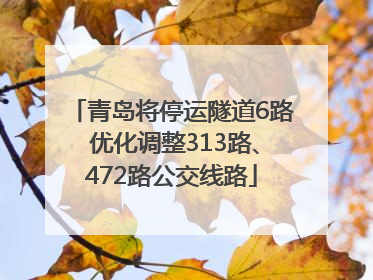 青岛将停运隧道6路 优化调整313路、472路公交线路