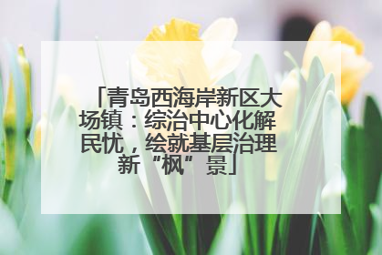 青岛西海岸新区大场镇：综治中心化解民忧，绘就基层治理新“枫”景