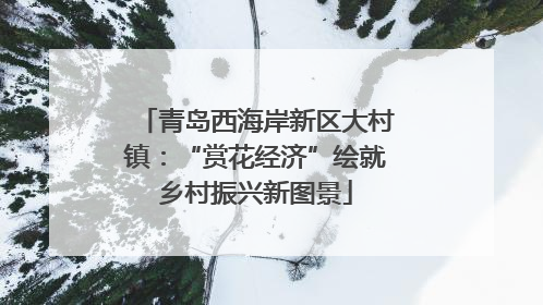 青岛西海岸新区大村镇：“赏花经济”绘就乡村振兴新图景