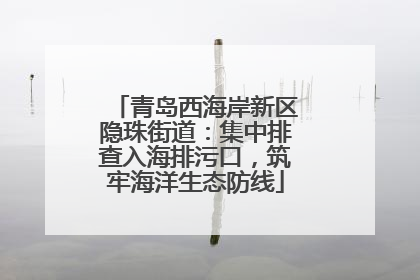 青岛西海岸新区隐珠街道：集中排查入海排污口，筑牢海洋生态防线