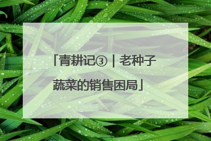 青耕记③｜老种子蔬菜的销售困局