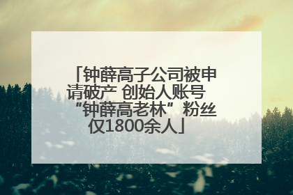 钟薛高子公司被申请破产 创始人账号“钟薛高老林”粉丝仅1800余人