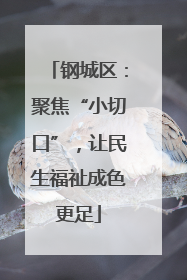 钢城区：聚焦“小切口”，让民生福祉成色更足