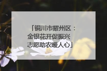 铜川市耀州区：金银花开促振兴 志愿助农暖人心