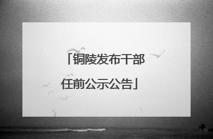 铜陵发布干部任前公示公告