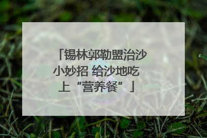 锡林郭勒盟治沙小妙招 给沙地吃上“营养餐”