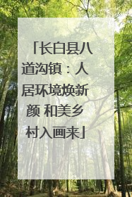 长白县八道沟镇：人居环境焕新颜 和美乡村入画来