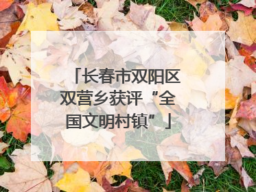 长春市双阳区双营乡获评“全国文明村镇”