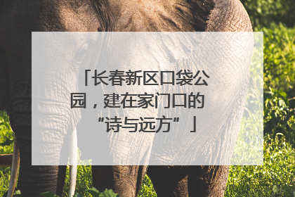长春新区口袋公园，建在家门口的“诗与远方”