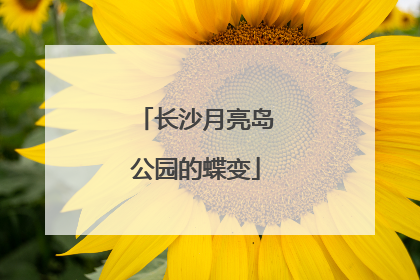 长沙月亮岛公园的蝶变