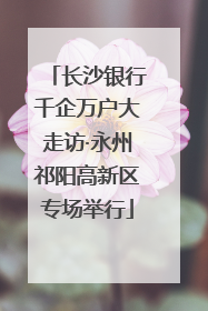 长沙银行千企万户大走访·永州祁阳高新区专场举行