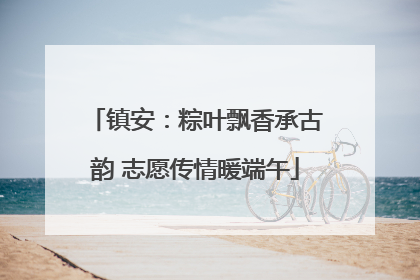 镇安：粽叶飘香承古韵 志愿传情暖端午