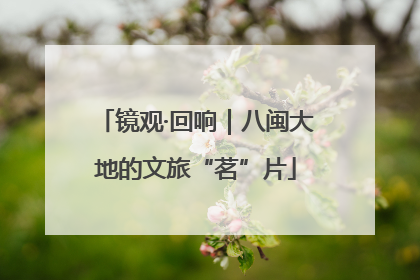 镜观·回响｜八闽大地的文旅“茗”片