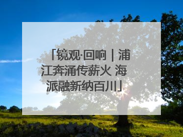 镜观·回响｜浦江奔涌传薪火 海派融新纳百川