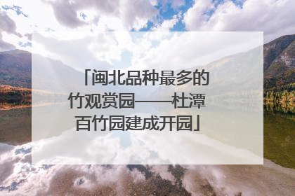闽北品种最多的竹观赏园——杜潭百竹园建成开园