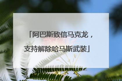阿巴斯致信马克龙，支持解除哈马斯武装