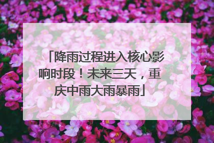 降雨过程进入核心影响时段！未来三天，重庆中雨大雨暴雨