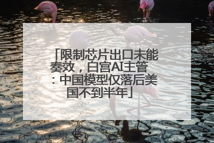 限制芯片出口未能奏效，白宫AI主管：中国模型仅落后美国不到半年