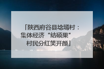 陕西府谷县埝墕村：集体经济“结硕果” 村民分红笑开颜