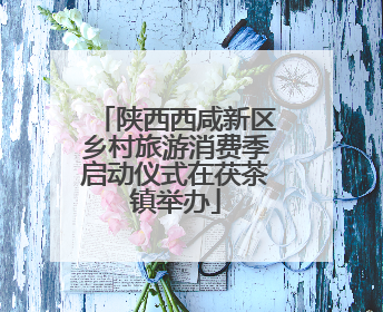 陕西西咸新区乡村旅游消费季启动仪式在茯茶镇举办