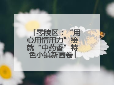 零陵区：“用心用情用力”绘就“中药香”特色小镇新画卷