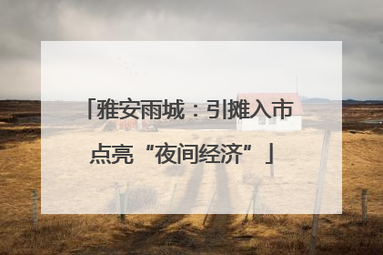 雅安雨城：引摊入市 点亮“夜间经济”